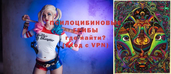 прущие крисы Белокуриха