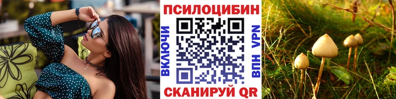 Галлюциногенные грибы Magic Shrooms  блэк спрут как войти  Наволоки  наркота 